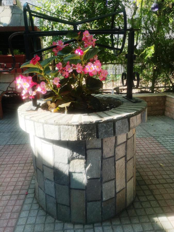 Blue Garden Rooms ปาราเลียกาเตอรีนิส ภายนอก รูปภาพ