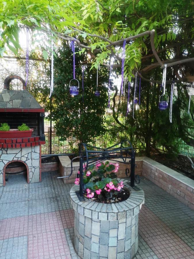 Blue Garden Rooms ปาราเลียกาเตอรีนิส ภายนอก รูปภาพ